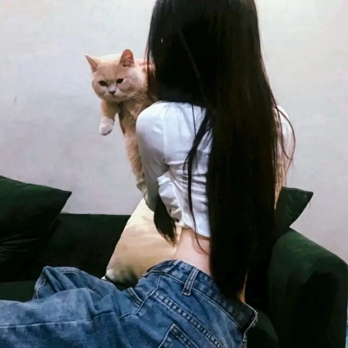 圣殿情梦 在线观看